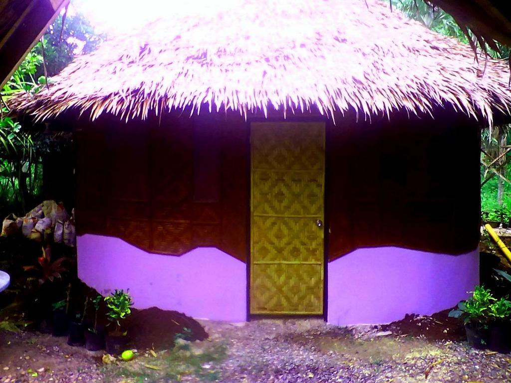 Lennon'S Place Backpacker Hostel Panglao Buitenkant foto