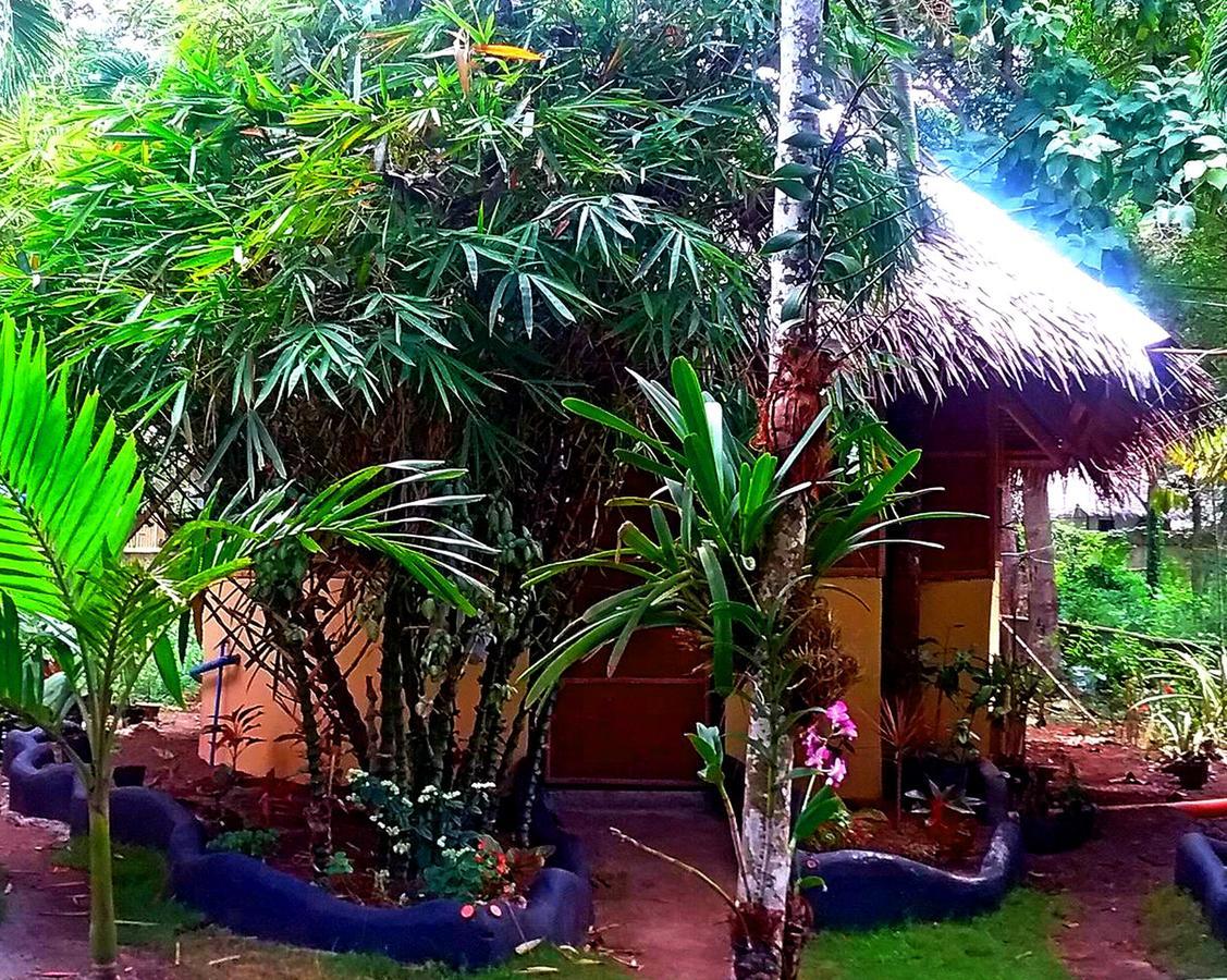 Lennon'S Place Backpacker Hostel Panglao Buitenkant foto